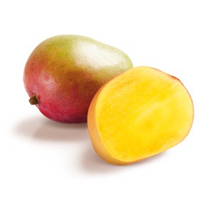 Mangue